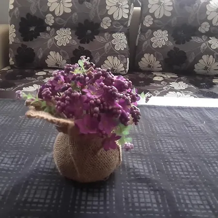 Apartment Апартамент Бургас *